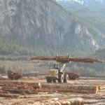 wood-industry