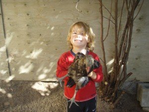 https://www.squamishreporter.com/wp-content/uploads/2012/01/story-1-Son-with-chicken-MAIN-300x225.jpg