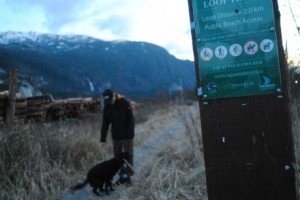 https://www.squamishreporter.com/wp-content/uploads/2012/12/dogpark-MAIN-300x200.jpg