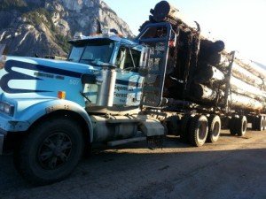 https://www.squamishreporter.com/wp-content/uploads/2013/11/Logging-MAIN-300x225.jpg