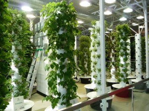 https://www.squamishreporter.com/wp-content/uploads/2015/01/aeroponics-300x225.jpg