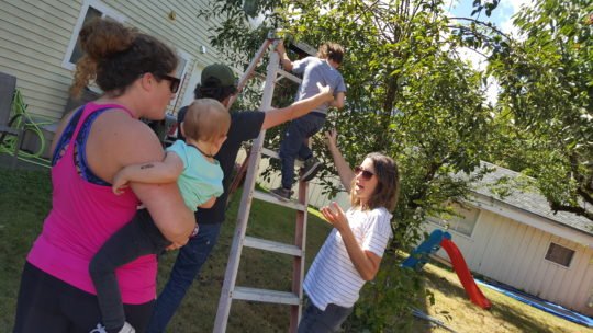 https://www.squamishreporter.com/wp-content/uploads/2016/10/20160904_141108-540x304.jpg