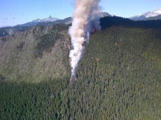 https://www.squamishreporter.com/wp-content/uploads/2017/08/squamish-forest-fire-540x405.jpg