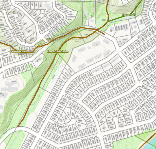 https://www.squamishreporter.com/wp-content/uploads/2018/02/Crumpit-Creek-Cruiser-Trail-540x514.png