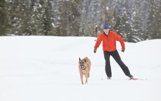 https://www.squamishreporter.com/wp-content/uploads/2018/03/ski-callaghan-540x339.jpg