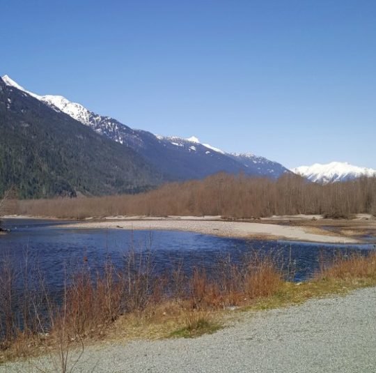 https://www.squamishreporter.com/wp-content/uploads/2018/05/river-main-540x535.jpg