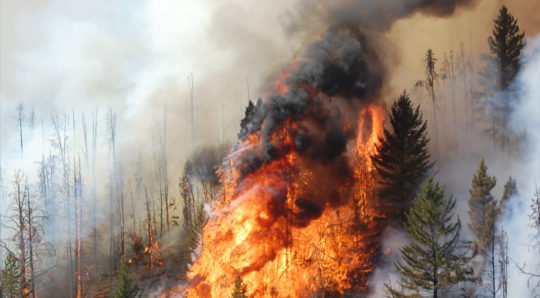 https://www.squamishreporter.com/wp-content/uploads/2018/06/current-wildfire-situation-540x298.jpg
