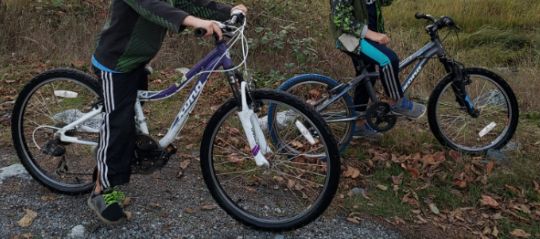 https://www.squamishreporter.com/wp-content/uploads/2018/11/bikes-540x239.png