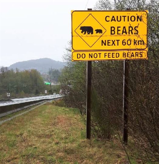https://www.squamishreporter.com/wp-content/uploads/2019/04/Bear_Sign-523x540.jpeg