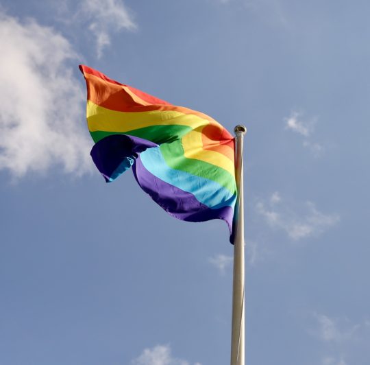 https://www.squamishreporter.com/wp-content/uploads/2019/09/pride-flag-540x532.jpg
