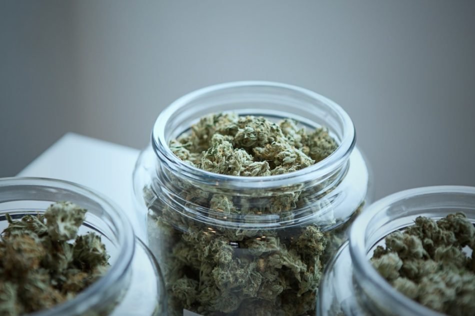 https://www.squamishreporter.com/wp-content/uploads/2020/01/cannabis-950x633-1.jpg