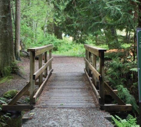 https://www.squamishreporter.com/wp-content/uploads/2020/03/trails.jpg