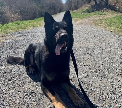 https://www.squamishreporter.com/wp-content/uploads/2020/04/kal.jpg