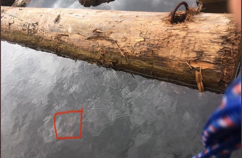https://www.squamishreporter.com/wp-content/uploads/2020/05/hazard.jpg