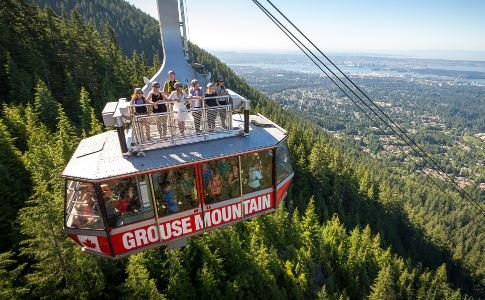 https://www.squamishreporter.com/wp-content/uploads/2020/06/grouse.jpg