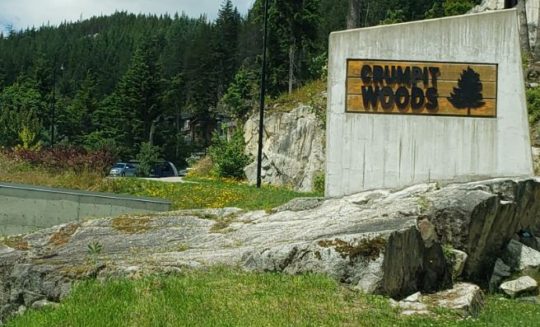 https://www.squamishreporter.com/wp-content/uploads/2020/07/crumpit-2-540x327.jpg