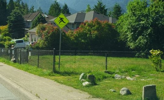 https://www.squamishreporter.com/wp-content/uploads/2020/07/dog-park-540x329.jpg