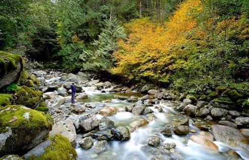 https://www.squamishreporter.com/wp-content/uploads/2020/10/fall-in-squamish.jpg