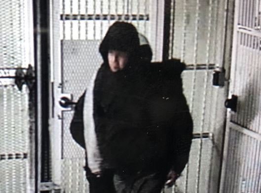 https://www.squamishreporter.com/wp-content/uploads/2020/11/whistler-rcmp-theft.jpg