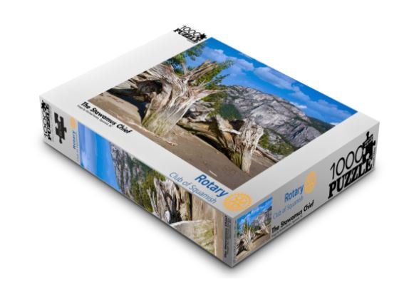 https://www.squamishreporter.com/wp-content/uploads/2020/12/puzzle.jpg
