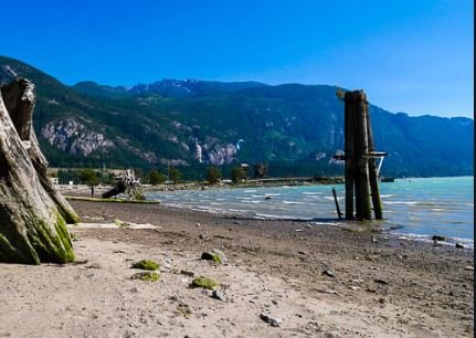 https://www.squamishreporter.com/wp-content/uploads/2021/01/oceanfront-trail.jpg