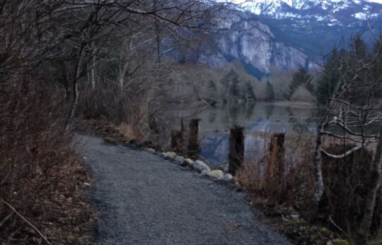 https://www.squamishreporter.com/wp-content/uploads/2021/01/smoke-bluff-park-trail-540x347.jpg