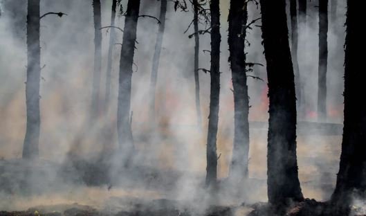 https://www.squamishreporter.com/wp-content/uploads/2021/05/wildfire.jpg