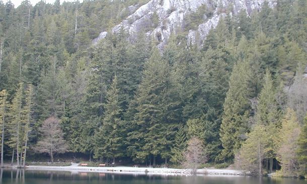 Two paddleboarders missing after falling into Browning Lake at Murrin Park