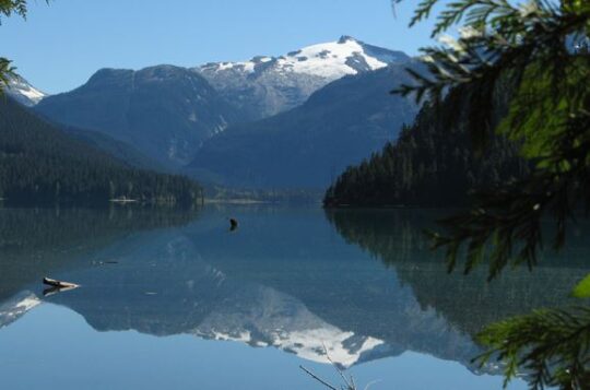 https://www.squamishreporter.com/wp-content/uploads/2021/07/cheakamus-lake-540x357.jpg