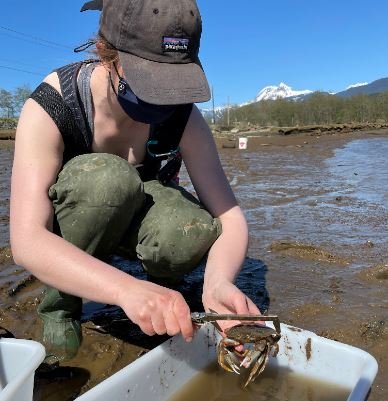 https://www.squamishreporter.com/wp-content/uploads/2021/08/crabs.jpg