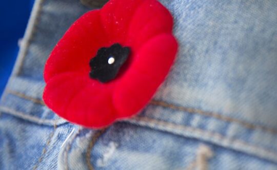 https://www.squamishreporter.com/wp-content/uploads/2021/11/poppy--540x332.jpg