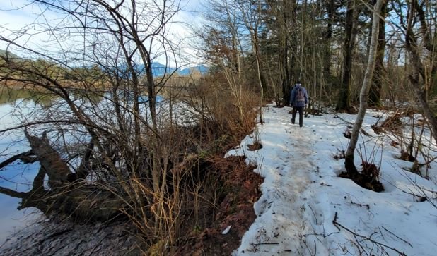 https://www.squamishreporter.com/wp-content/uploads/2022/01/swan-trail.jpg