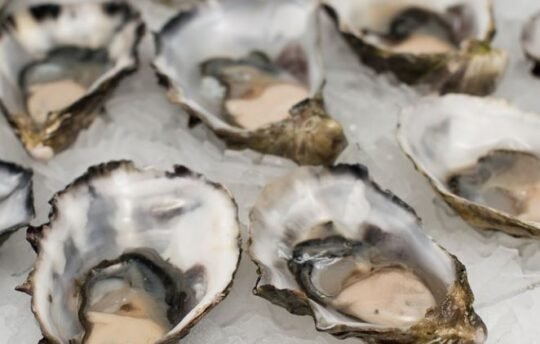 https://www.squamishreporter.com/wp-content/uploads/2022/03/oysters-540x344.jpg