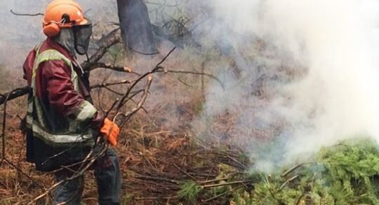 https://www.squamishreporter.com/wp-content/uploads/2022/03/wildfire-540x293.jpg