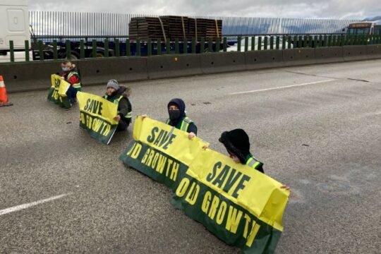 https://www.squamishreporter.com/wp-content/uploads/2022/04/protest-1-540x360.jpg
