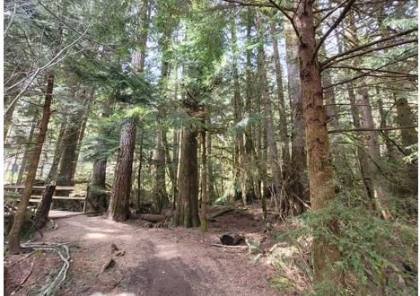 https://www.squamishreporter.com/wp-content/uploads/2022/04/trail-GM.jpg