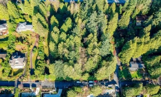 https://www.squamishreporter.com/wp-content/uploads/2022/05/lots-Rosebury-540x327.jpg