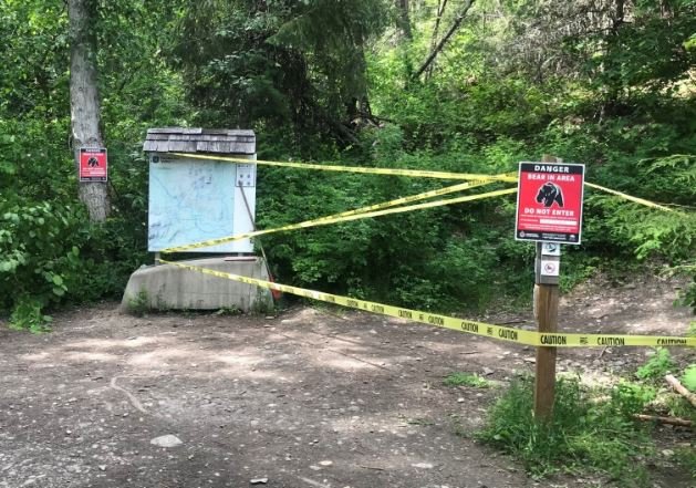 https://www.squamishreporter.com/wp-content/uploads/2022/06/bear-attack.jpg