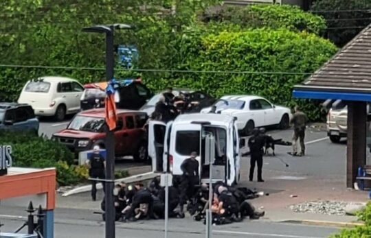 https://www.squamishreporter.com/wp-content/uploads/2022/06/police--540x347.jpg