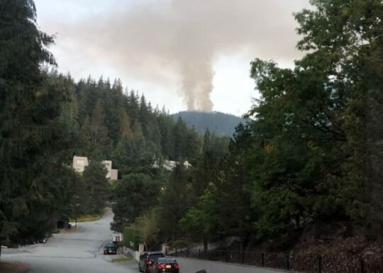 https://www.squamishreporter.com/wp-content/uploads/2022/10/cypress-540x385.jpg