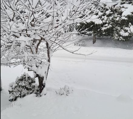 https://www.squamishreporter.com/wp-content/uploads/2023/02/snow-again.jpg