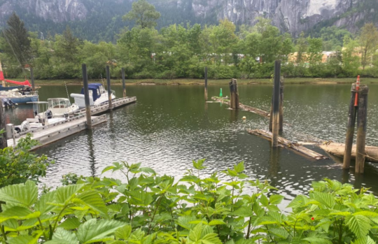 https://www.squamishreporter.com/wp-content/uploads/2023/03/marina-pic-540x349.png