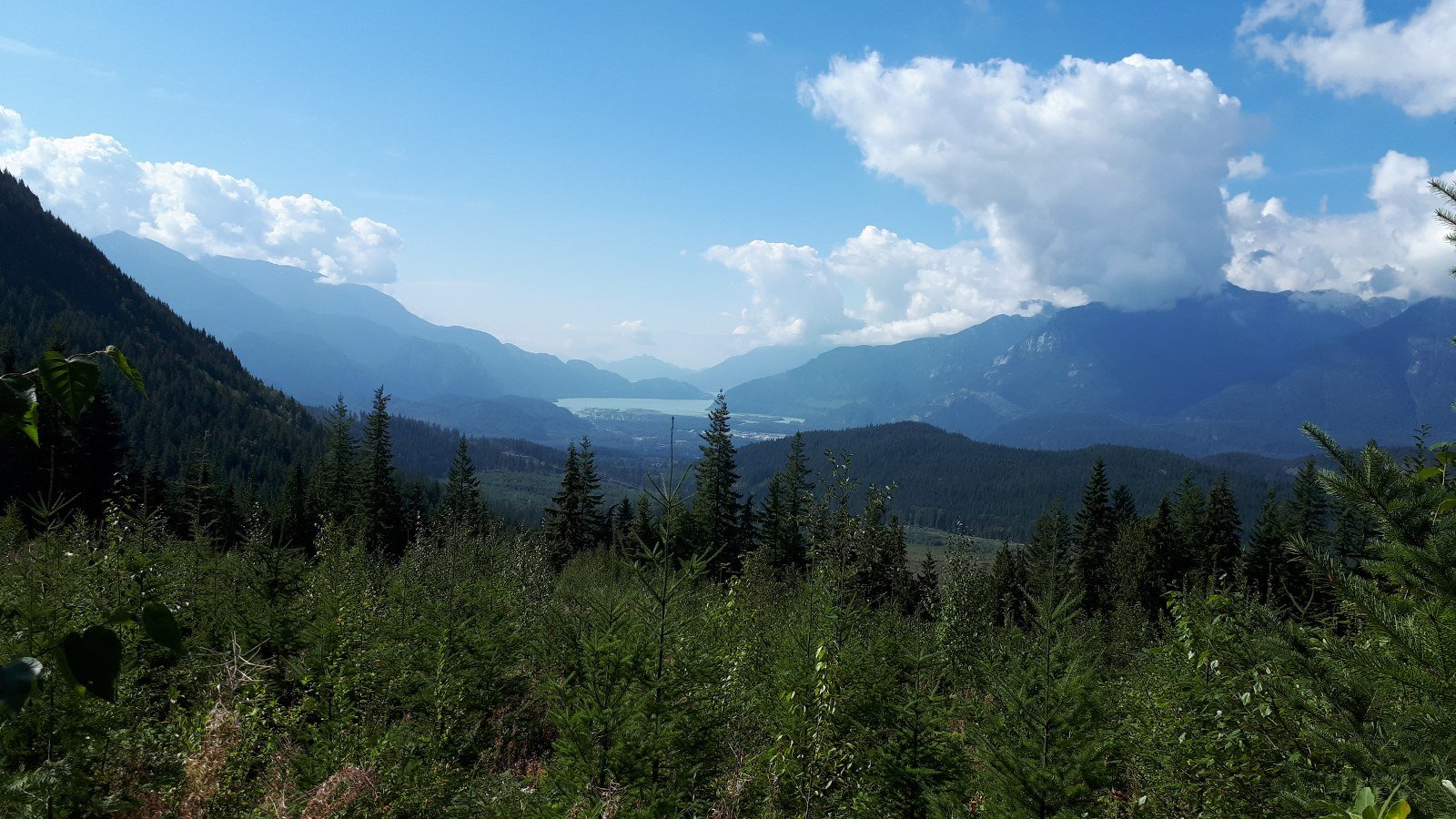 https://www.squamishreporter.com/wp-content/uploads/2023/04/forest-main.jpg