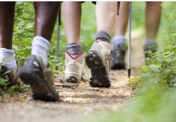 https://www.squamishreporter.com/wp-content/uploads/2023/05/pic-walk.png