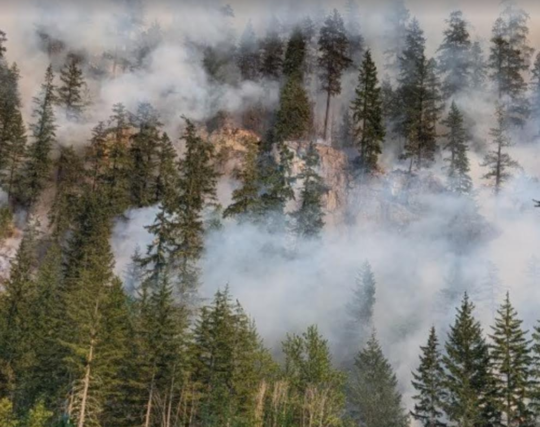 https://www.squamishreporter.com/wp-content/uploads/2023/05/wildfire-joe-540x427.png