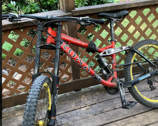 https://www.squamishreporter.com/wp-content/uploads/2023/06/bike-thefts-540x432.png