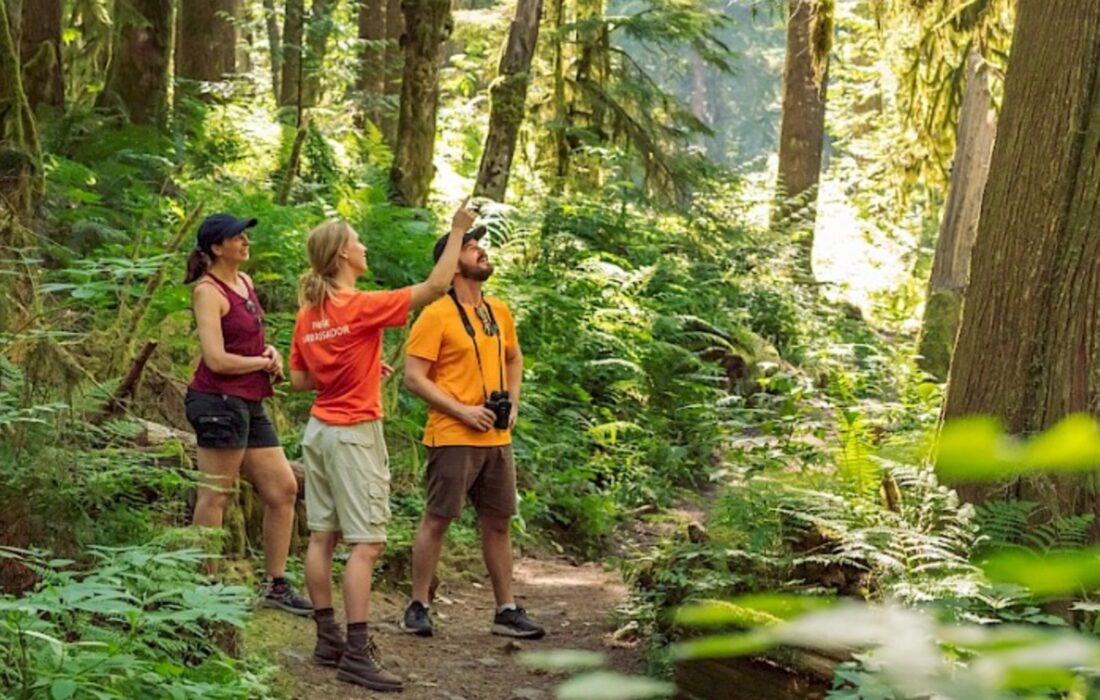 parks ambassadors guiding a visitor