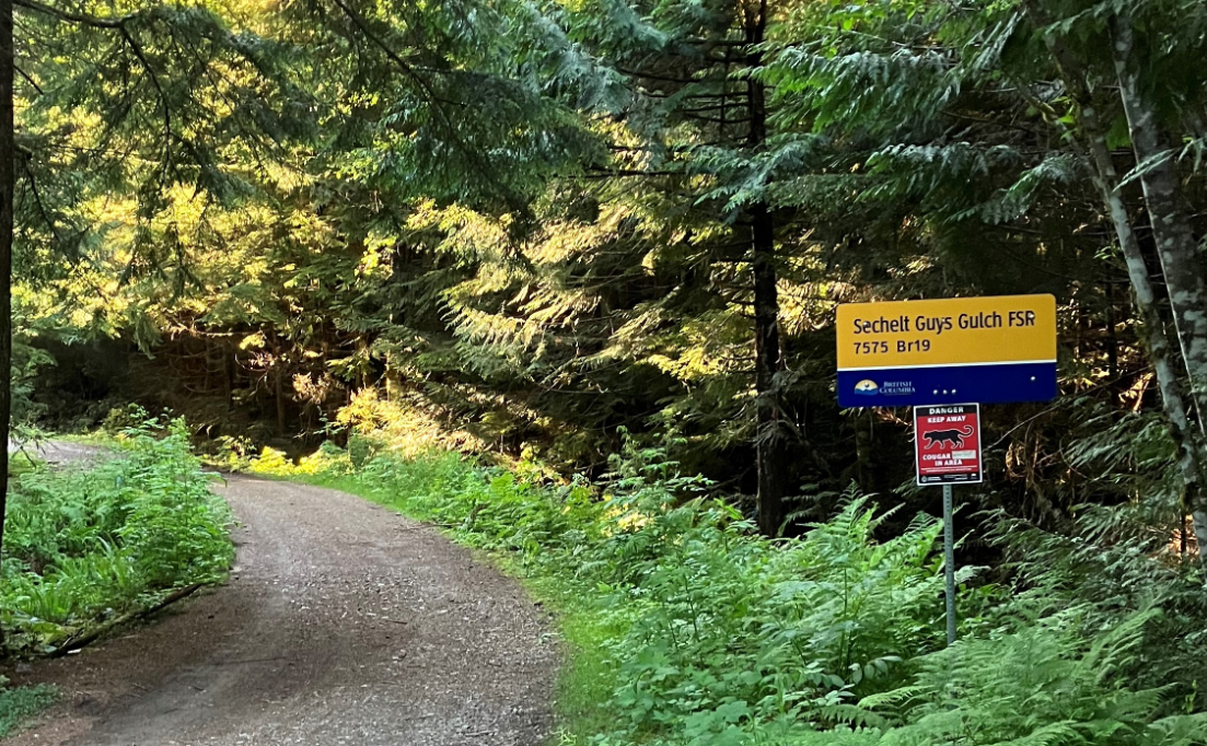 https://www.squamishreporter.com/wp-content/uploads/2023/06/trail-sechelt.png