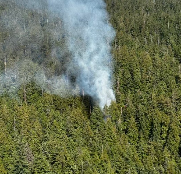 https://www.squamishreporter.com/wp-content/uploads/2023/07/mount-seymour-fire.png