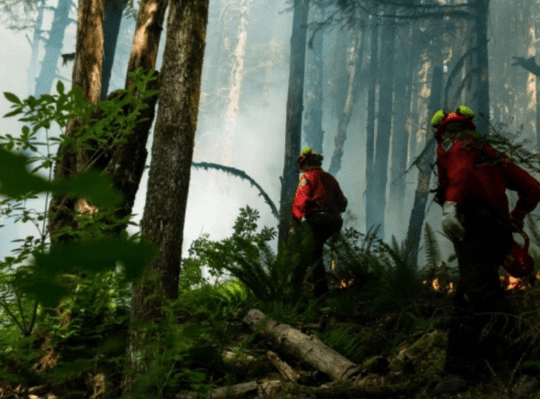 https://www.squamishreporter.com/wp-content/uploads/2023/07/wildfire-service-540x399.png
